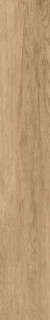 Gravita Novela Nut 20x120