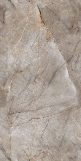 Gresant Canelo Brown Infinia Polished It 60x120