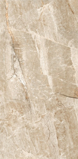 Gravita Stone Age 60x120