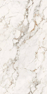 Gresant Faux Grey Glossy Endless R 60x120