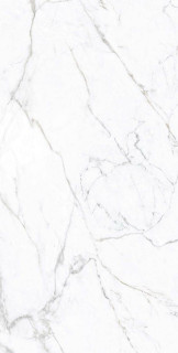 Gresant Statuario Fine Glossy R 60x120
