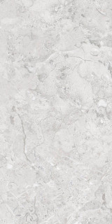 Infinity Elegance Grey Glossy Silver Line 60x120