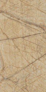Infinity Wattle Beige Drab 60x120