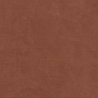 Infinity Eterna Cotto Carving 60x60