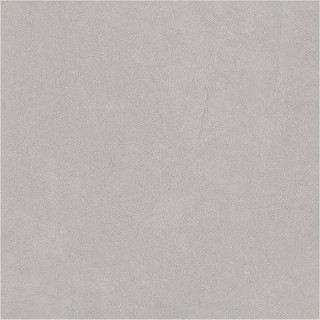 Infinity Parco Gris Base Matt 60x60