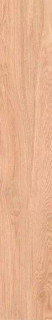 ITC Ariana Wood Brown Matt 20x120