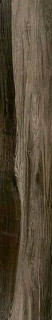 ITC Drift Wood Brown Matt 20x120