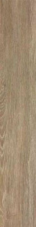 ITC Desert Wood Oak Matt 20x120