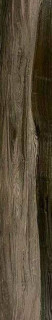 ITC Drift Wood Brown Carving 20x120