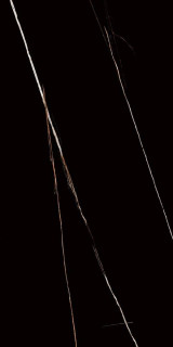 Laparet Lawa Black Черный Полированный 60x120H0.8