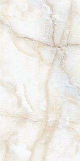 Leopard Noble Onyx Ice Glossy 60x120