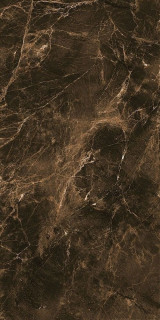 Leopard Impressio Glossy 60x120