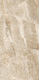 Leopard Stone Age Glossy 60x120