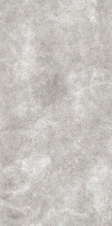 Leopard Murus Grey Mat 60x120