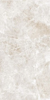 Leopard Umbra Pearl Glossy 60x120