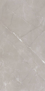 Laparet Vitrum Grigio Серый Полированный 60x120H0.8