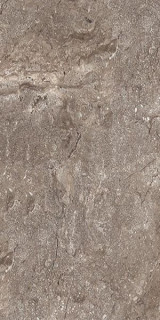 Leopard Stone Grey Polished 60x120