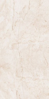 Leopard Stone Ivory Polished 60x120