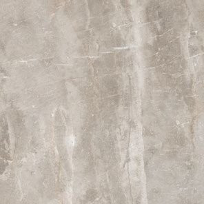 Leopard Rock Gris Carving 60x60