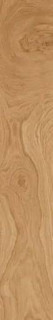 Maimoon Softwood Crema Matt 20x120