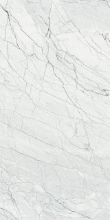 Maimoon Ontario Cemento Carving 60x120H0.9