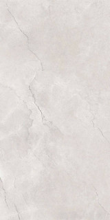 Maimoon Flority Ash 60x120H0.9
