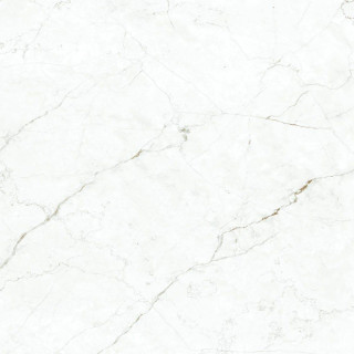 Maimoon Perlato Royal Bianco Carving 60x60H0.9