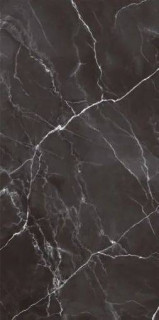 Maimoon Calacatta Black 60x120