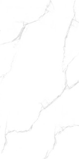 Maimoon Silver Statuario 60x120H0.9