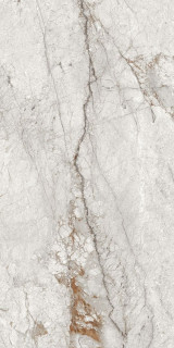 Maimoon Ceppo Di Grey Hi.Glossy 80x160H0.9