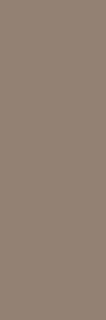 Motto Ceramic Walnut Glossy 15mm 80x240H1.5