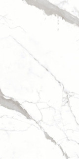 Neodom Belvedere Venatino Grey Fusion 60x120