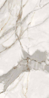 Neodom Alpe Di Siusi Polished 60x120H0.9