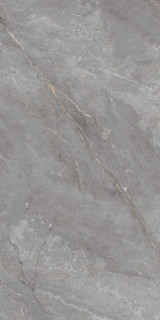 Neodom Belvedere Orobico Grey Polished 60x120