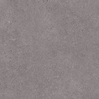 Neodom Northstone Grey Matt 20mm 60x60H2