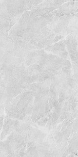 Neodom Belvedere Eva Grey Polished 60x120