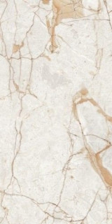 Neodom Ambassador Rosalia Polished 60x120