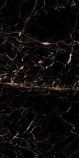 Neodom Ambassador Black Gold Polished 60x120