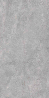 Neodom Evoque Grey Carving 60x120H0.9