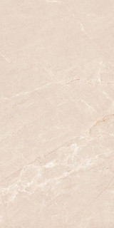 Neodom Concept Persian Beige Matt 60x120H0.9