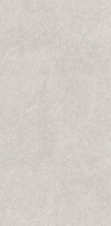 Neodom Concept Liberty Grey Matt 60x120H0.9