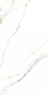 Neodom Statuario Platinum Carving 60x120H0.9