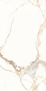 Neodom Statuario Gold Fusion 60x120H0.9