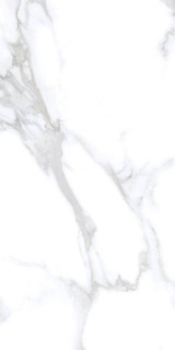Neodom Concept Statuario Chic Matt 60x120H0.9