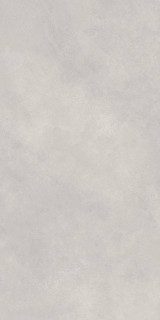 Neodom Newport Gris Matt 60x120H0.9
