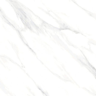Neodom Statuario Royal Polished 120x120