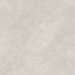 Neodom Newport Gris Matt 120x120