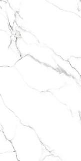 Neodom Mckinley Polished 60x120H0.9