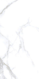 Neodom Statuario Chic Polished 60x120H0.9