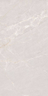 Neodom Concept Persian Grey Matt 60x120H0.9